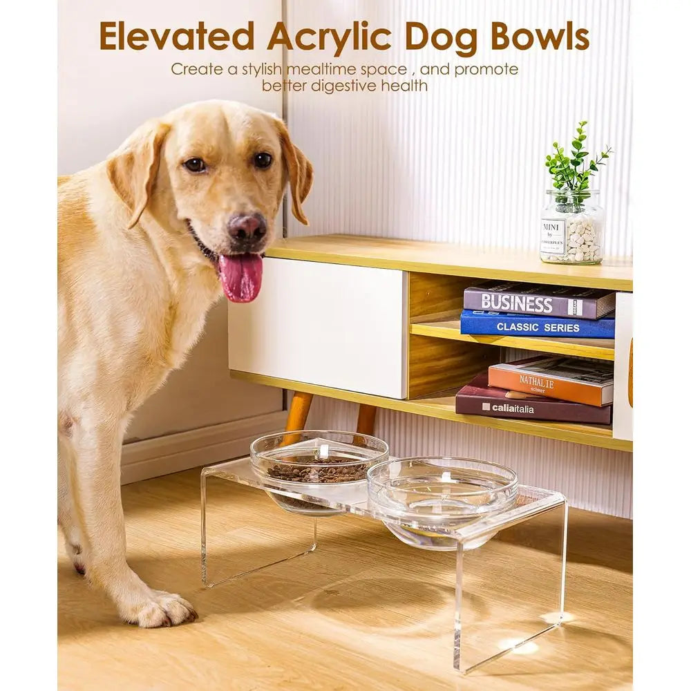 Elevated Double Bowl Pet Feeder with Removable Glass and Stainless Steel Bowls, 7.2 Tall