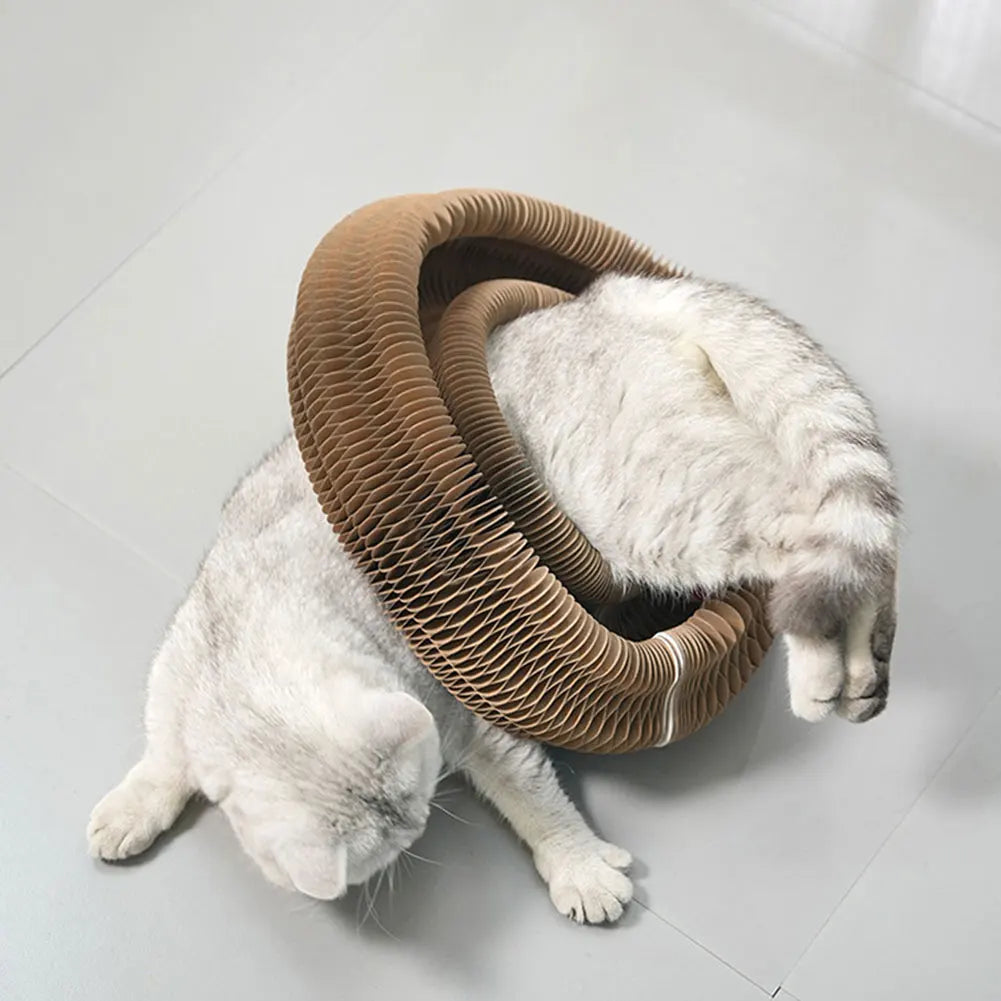 Magic Organ Cat Scratching Board Interactive Scratcher Cat Toy Foldable Cat Interactive Toys Cat Grinding Claw Scratching Board