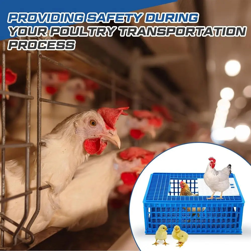 2 Pcs Poultry Duck Carrier Crate 3 Door Chicken Transport Cage Plastic Poultry Carrier Basket Box or Chicken Duck Goose Birds, 2