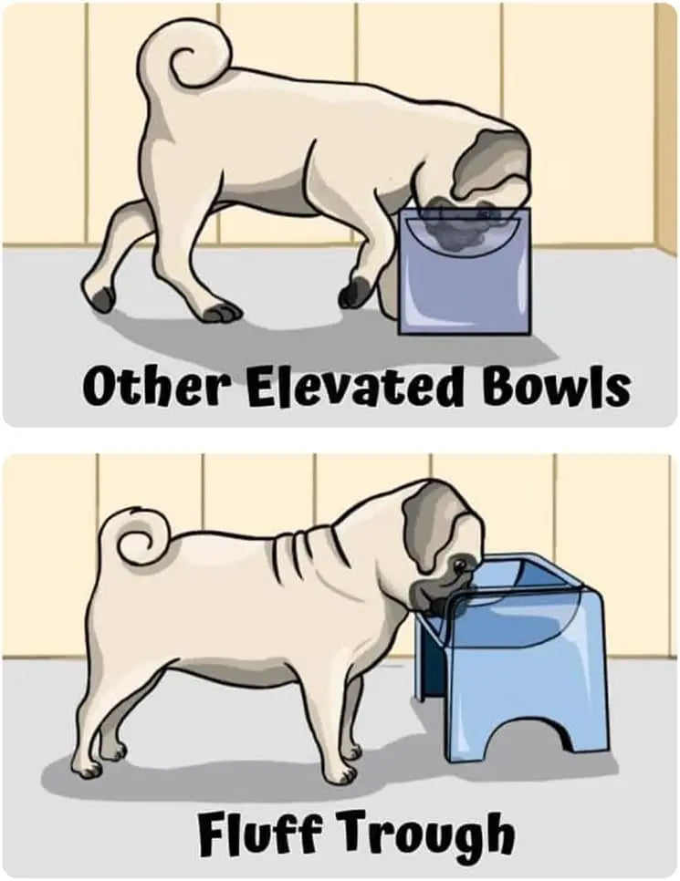 Elevated Slow Feeder Pet Bowl with Silicone Insert for Flat-Faced Dogs and Cats, Grey