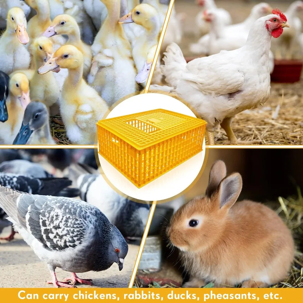 Plastic Poultry Carrier Crate 2-Pack, 29.5x21.7x11.6 Inch Chicken Transport Cage for Birds