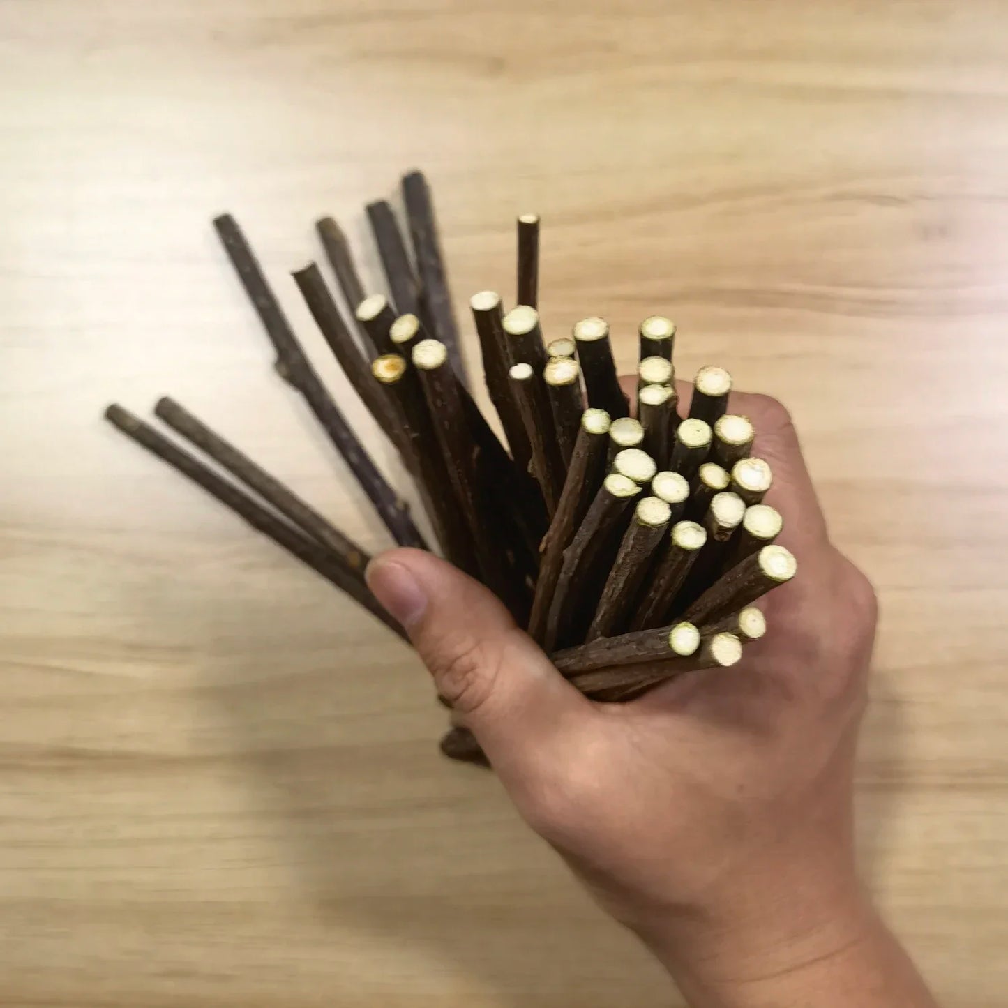 10/15/20/25/50/100Pc Natural Matatabi Pet Cat Snacks Sticks Cleaning Tooth Catnip Cat Toys Actinidia Silvervine Pet Toy for Cats