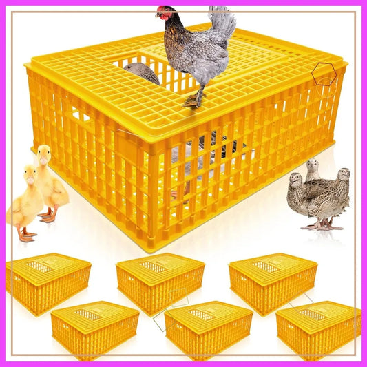 Plastic Poultry Carrier Crate 2-Pack, 29.5x21.7x11.6 Inch Chicken Transport Cage for Birds