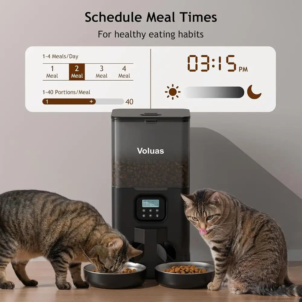 Automatic Cat Feeder or Double Pet Feeder with 2 Stainless Steel Bowls, 6L Timed Feeders with Memory Function