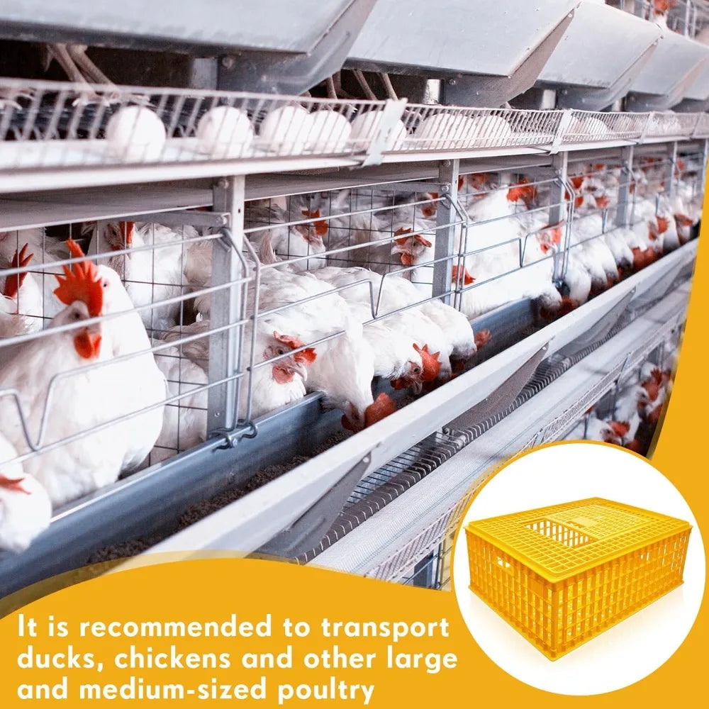 Plastic Poultry Carrier Crate 2-Pack, 29.5x21.7x11.6 Inch Chicken Transport Cage for Birds