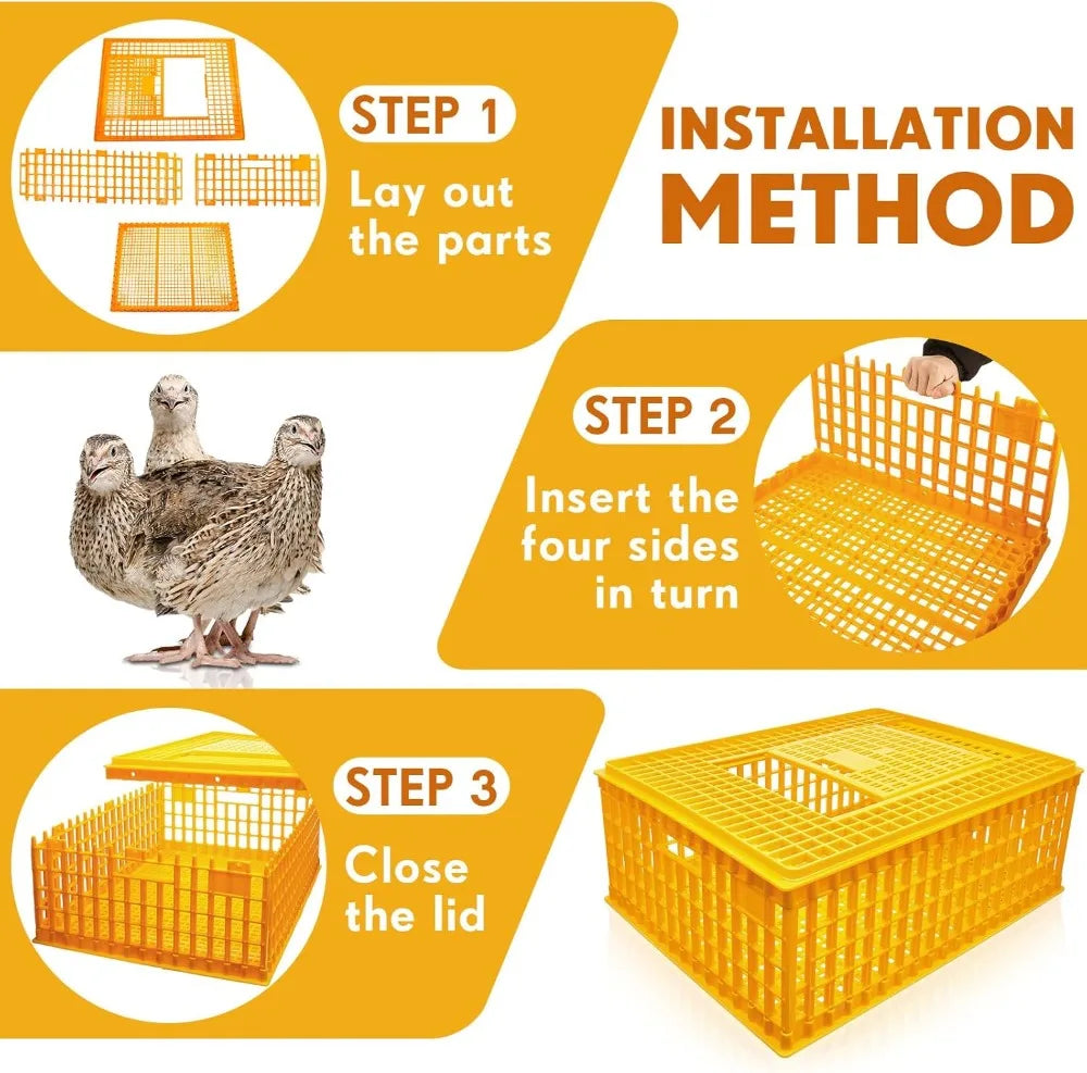 Plastic Poultry Carrier Crate 2-Pack, 29.5x21.7x11.6 Inch Chicken Transport Cage for Birds
