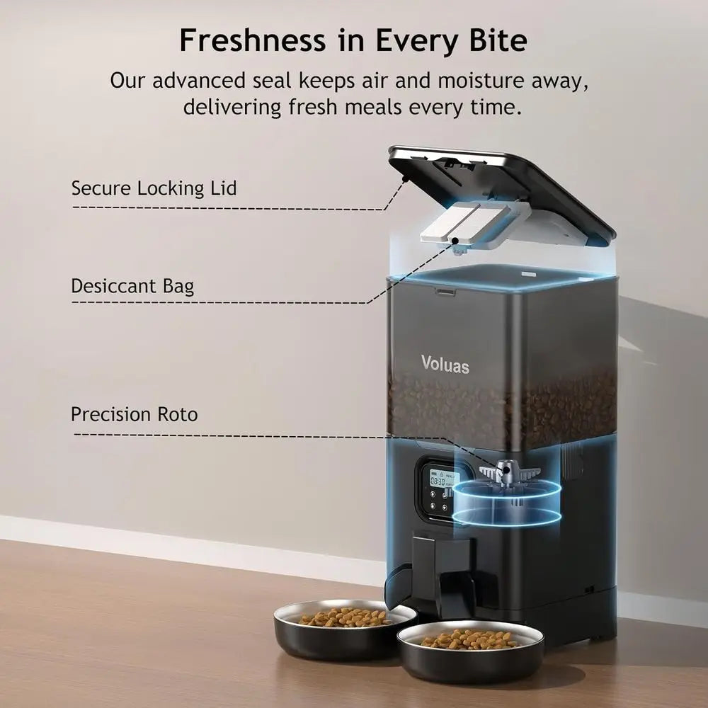 Automatic Cat Feeder or Double Pet Feeder with 2 Stainless Steel Bowls, 6L Timed Feeders with Memory Function