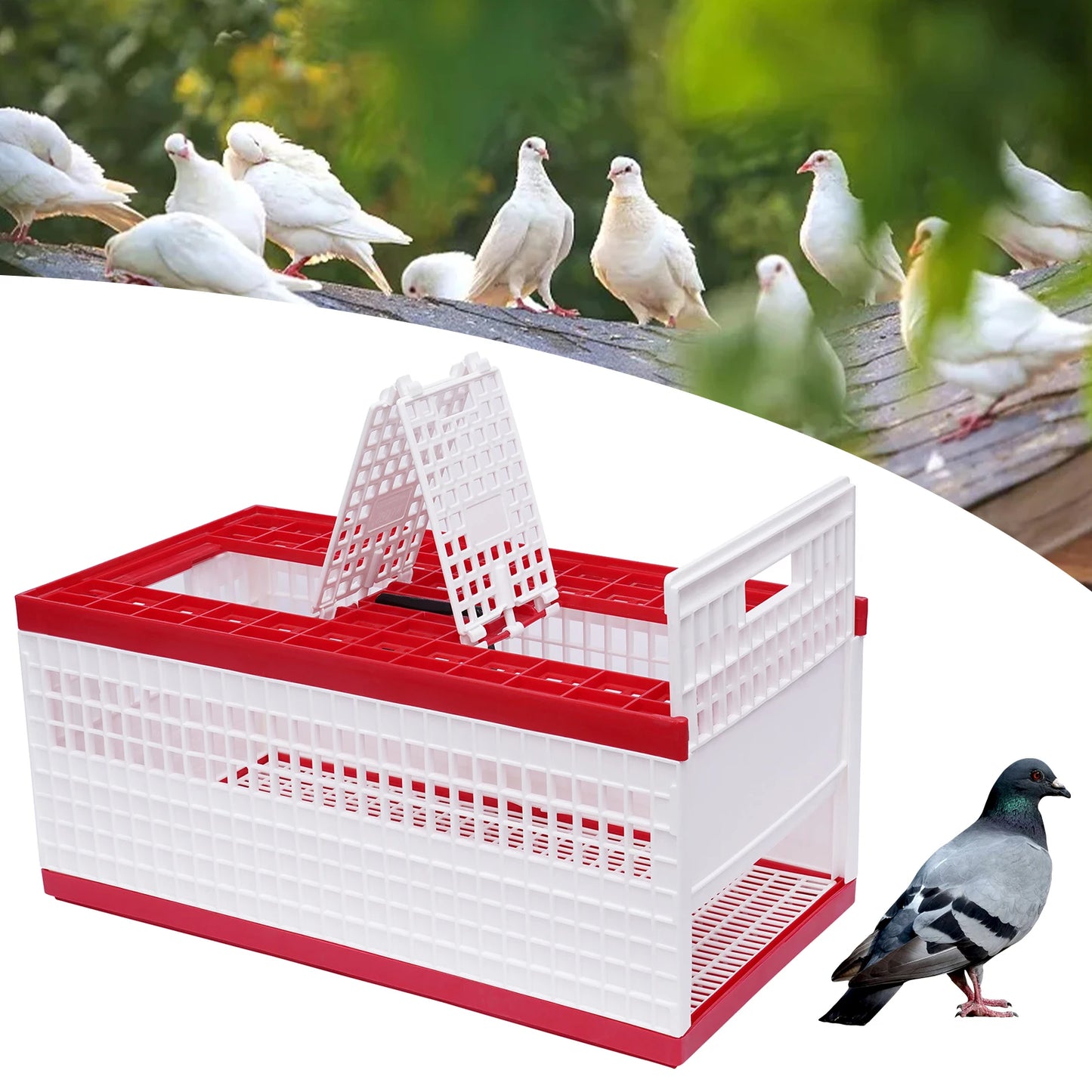 Foldable Pigeon Cage W/ Handle,Plastic Pigeon Carrier,Portable Travel Bird Cage for 14 Pigeons,3-Door Rectangle Transport Cage