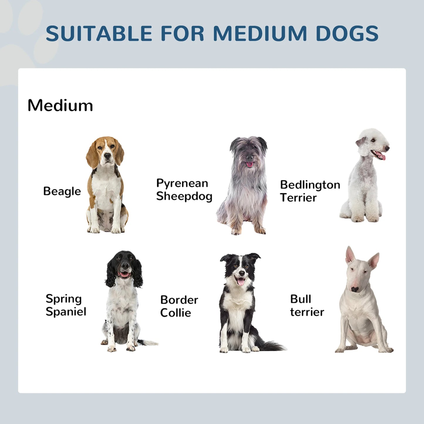 Dog Food Feeder Bowl - 2-in-1 Stainless Steel Pet Dish with Non-Slip Metal Base, Durable and Easy to Clean