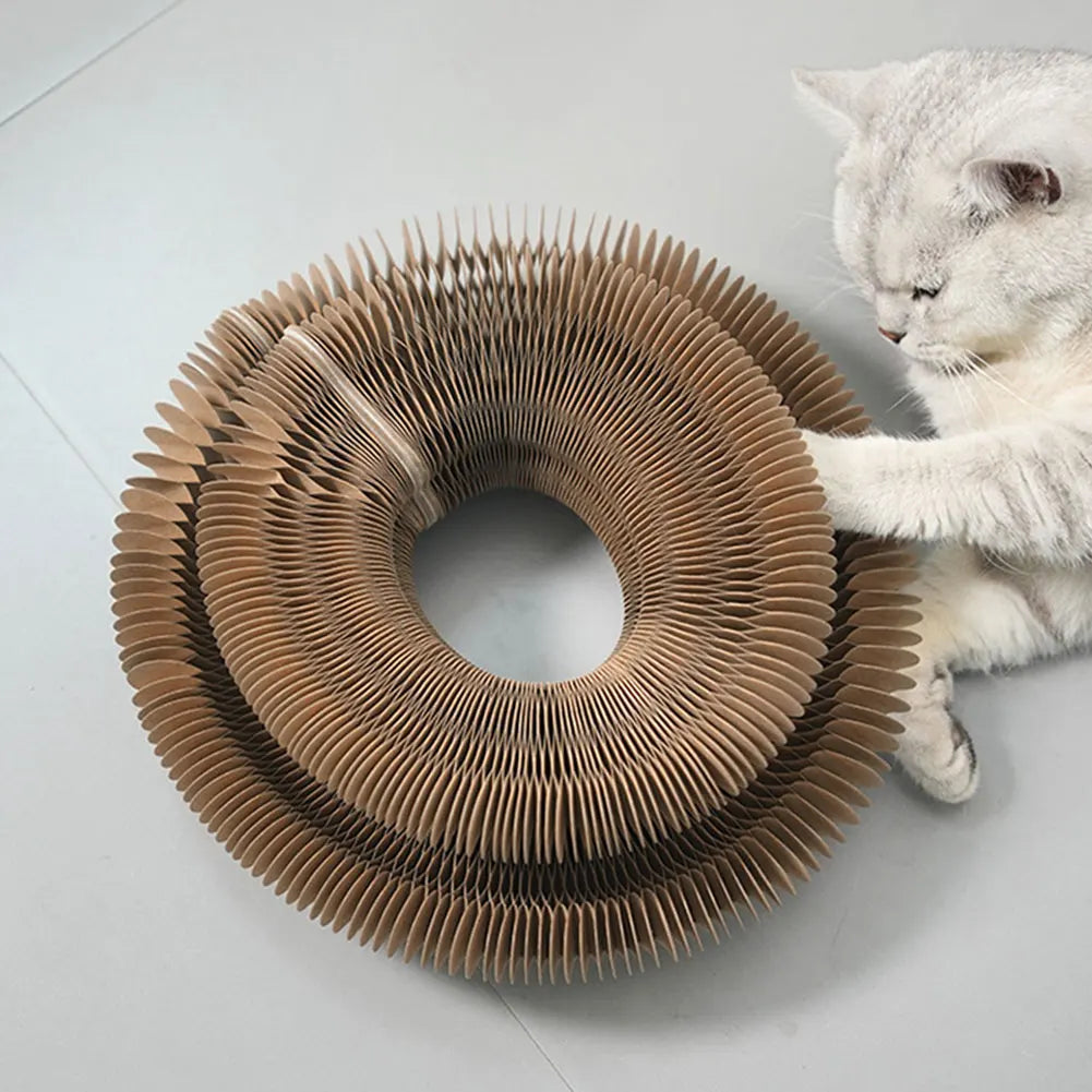 Magic Organ Cat Scratching Board Interactive Scratcher Cat Toy Foldable Cat Interactive Toys Cat Grinding Claw Scratching Board