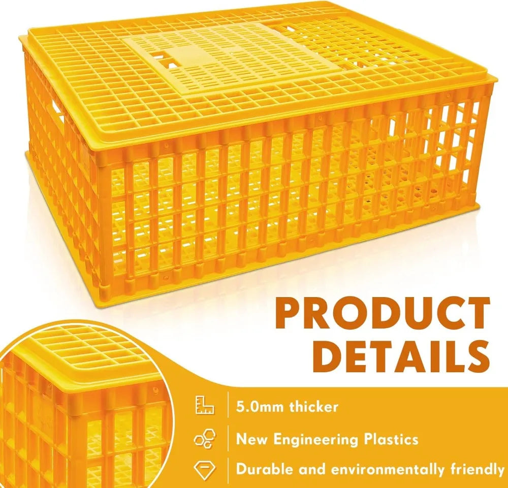 Plastic Poultry Carrier Crate 2-Pack, 29.5x21.7x11.6 Inch Chicken Transport Cage for Birds