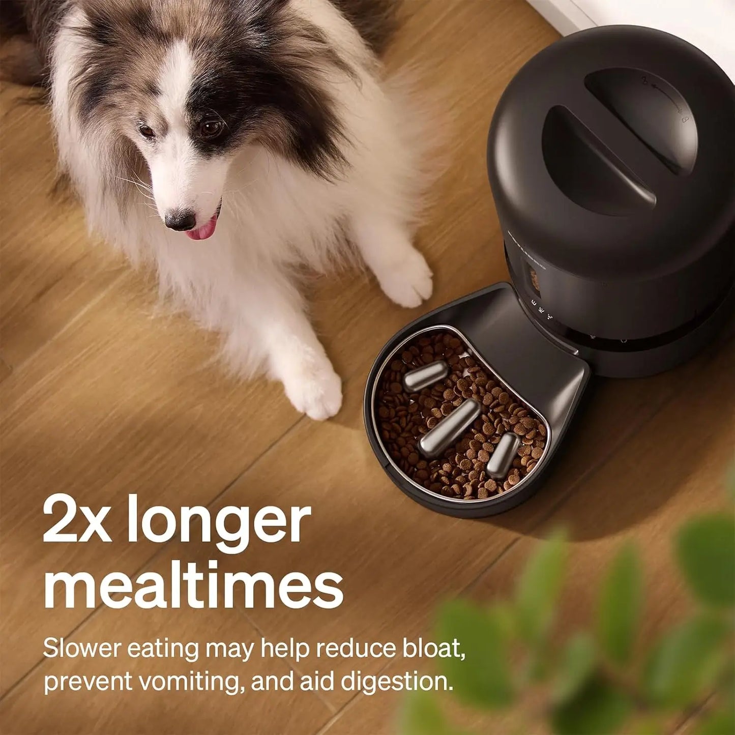 Automatic Pet Feeder with Camera, Slow Feed Bowl, 1080P HD Video Night Vision, WiFi Two-Way Audio