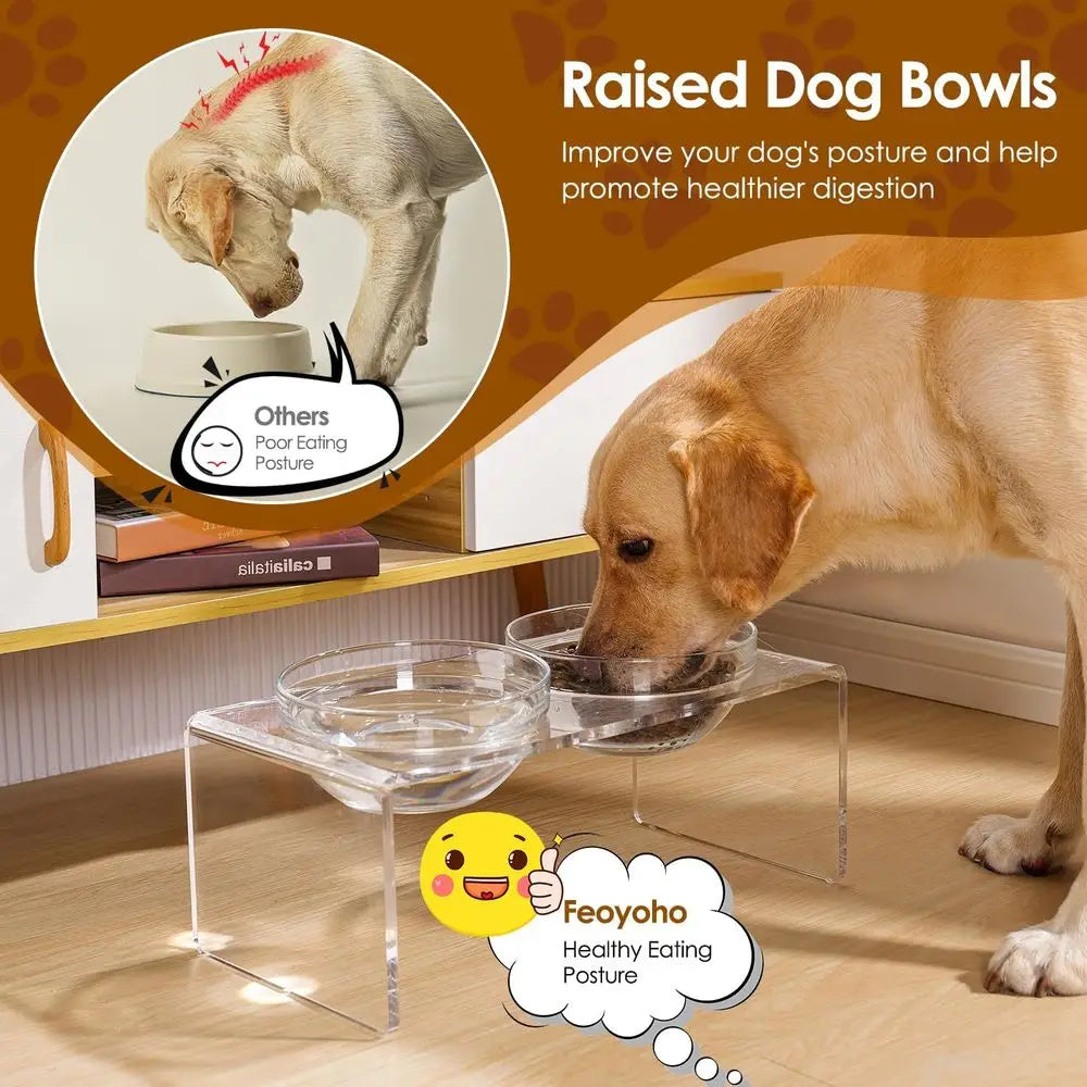 Elevated Double Bowl Pet Feeder with Removable Glass and Stainless Steel Bowls, 7.2 Tall