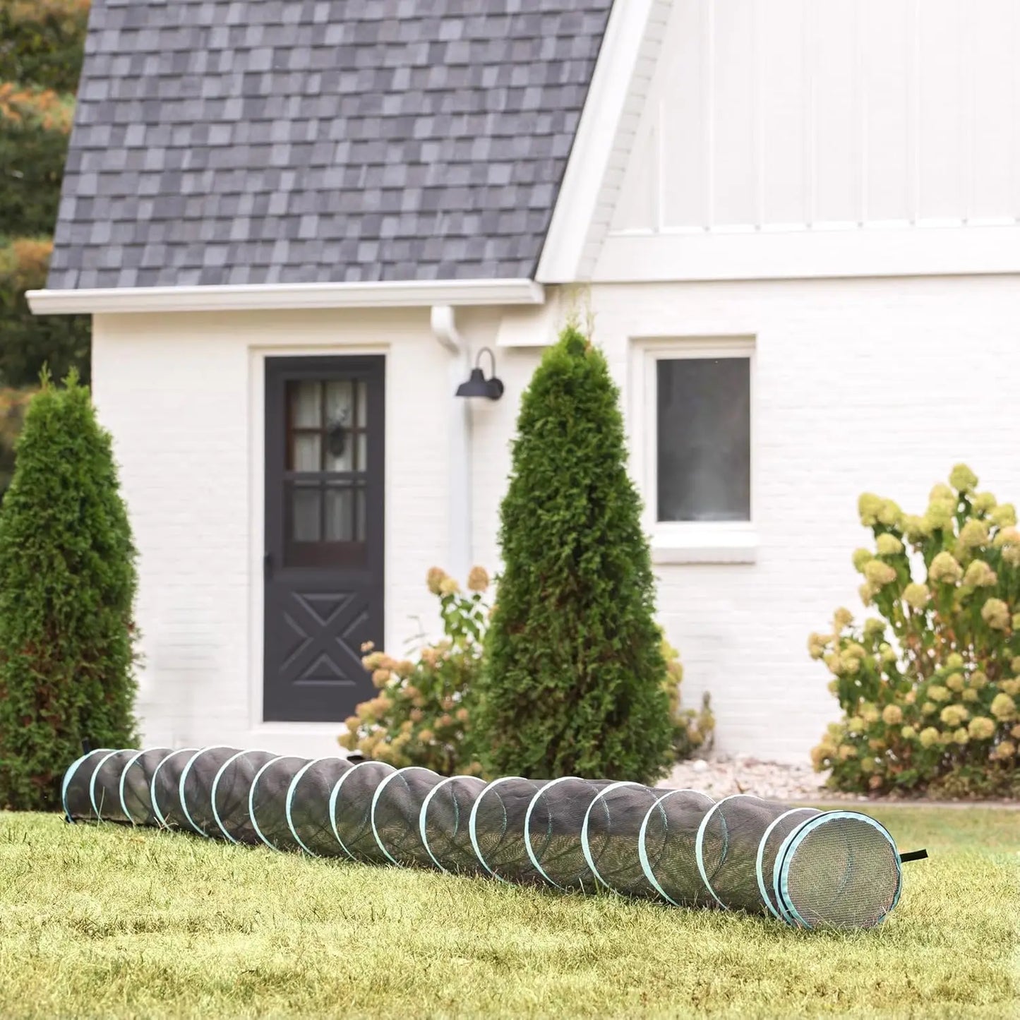 Outdoor Catio Furniture and Play Kits for Cats, 20' Tunnel