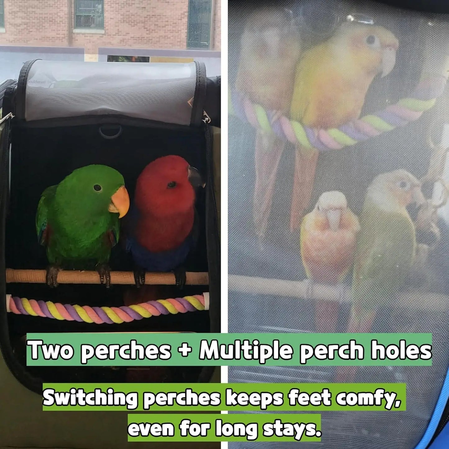 Bird Carrier Backpack-Parrot Travel Cage with 2PCS Perch and Food Bowl, Stainless Steel Tray (Dark Olive Green)