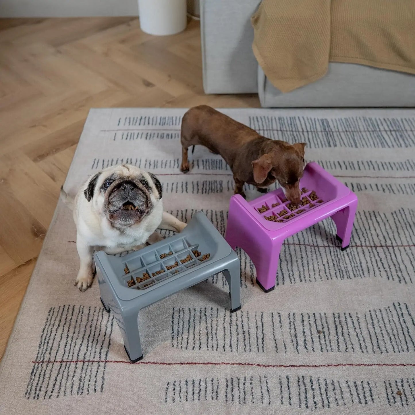 Elevated Slow Feeder Pet Bowl with Silicone Insert for Flat-Faced Dogs and Cats, Grey