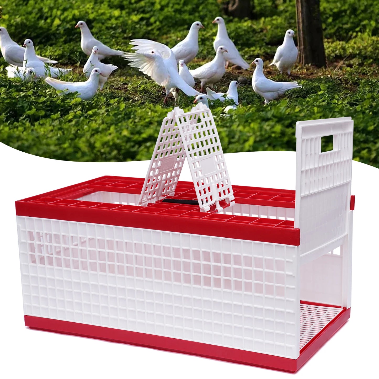 Foldable Pigeon Cage W/ Handle,Plastic Pigeon Carrier,Portable Travel Bird Cage for 14 Pigeons,3-Door Rectangle Transport Cage