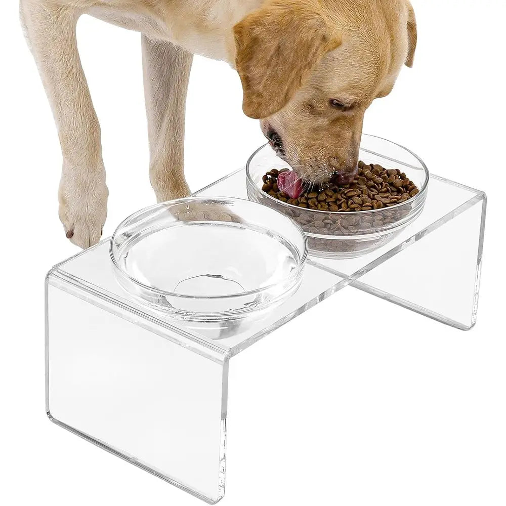 Elevated Double Bowl Pet Feeder with Removable Glass and Stainless Steel Bowls, 7.2 Tall