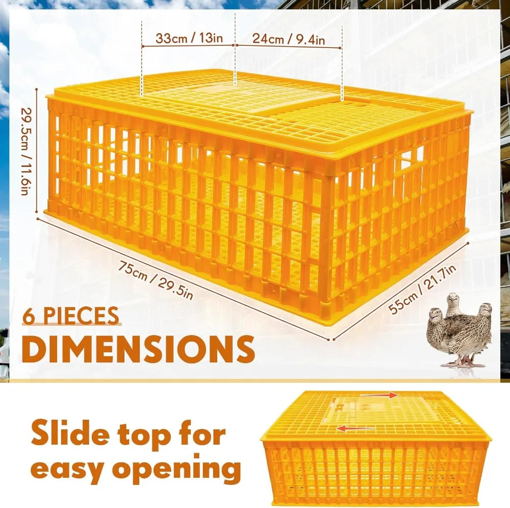 Plastic Poultry Carrier Crate 2-Pack, 29.5x21.7x11.6 Inch Chicken Transport Cage for Birds