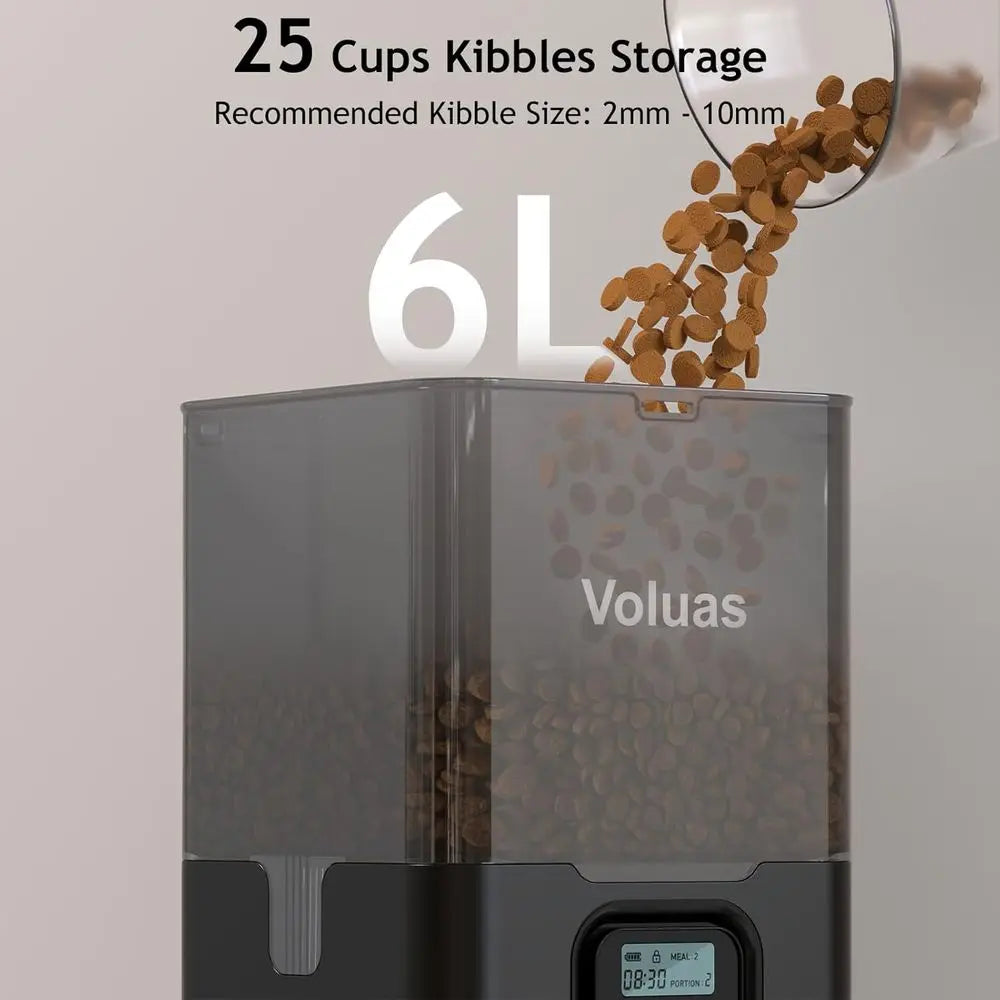 Automatic Cat Feeder or Double Pet Feeder with 2 Stainless Steel Bowls, 6L Timed Feeders with Memory Function