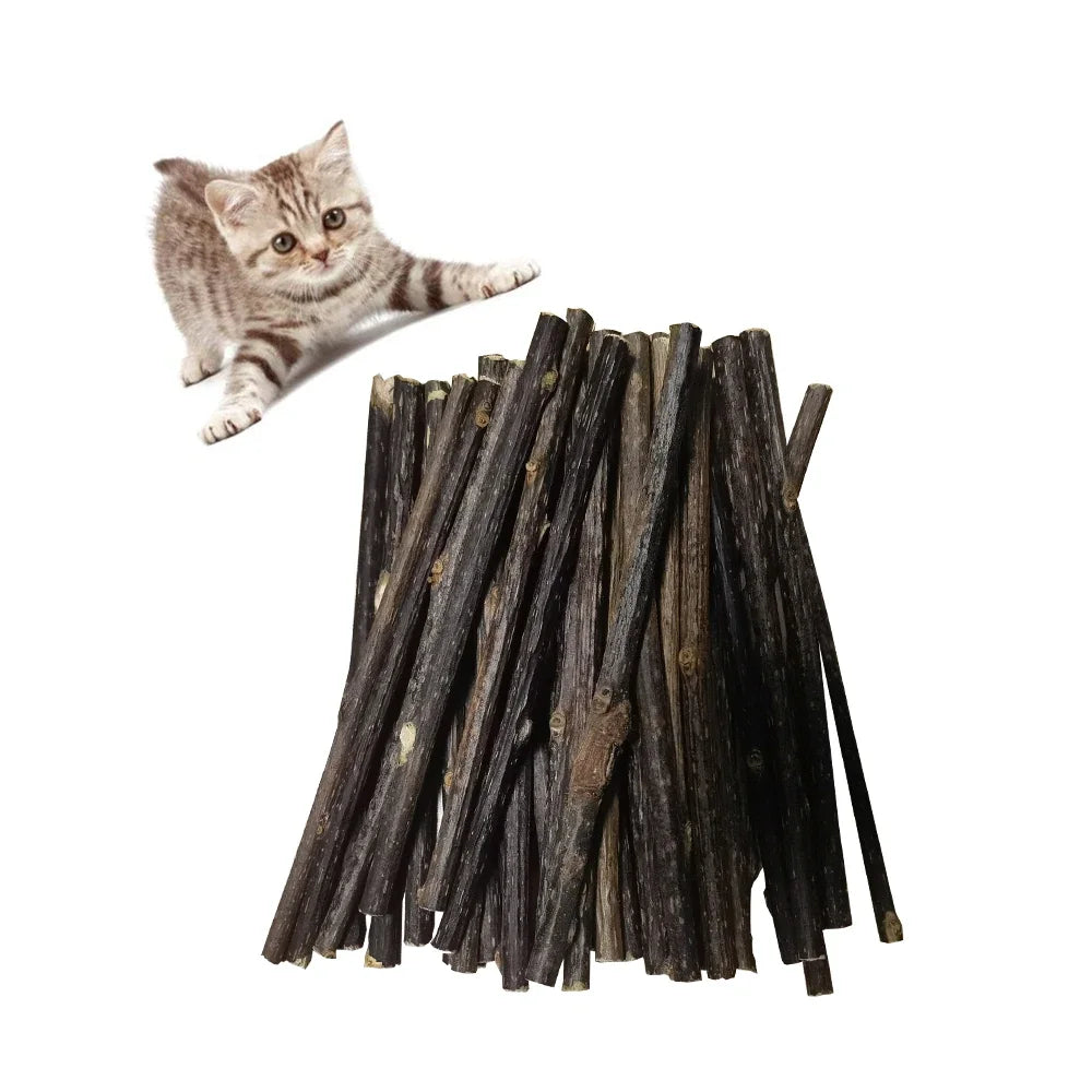 10/15/20/25/50/100Pc Natural Matatabi Pet Cat Snacks Sticks Cleaning Tooth Catnip Cat Toys Actinidia Silvervine Pet Toy for Cats
