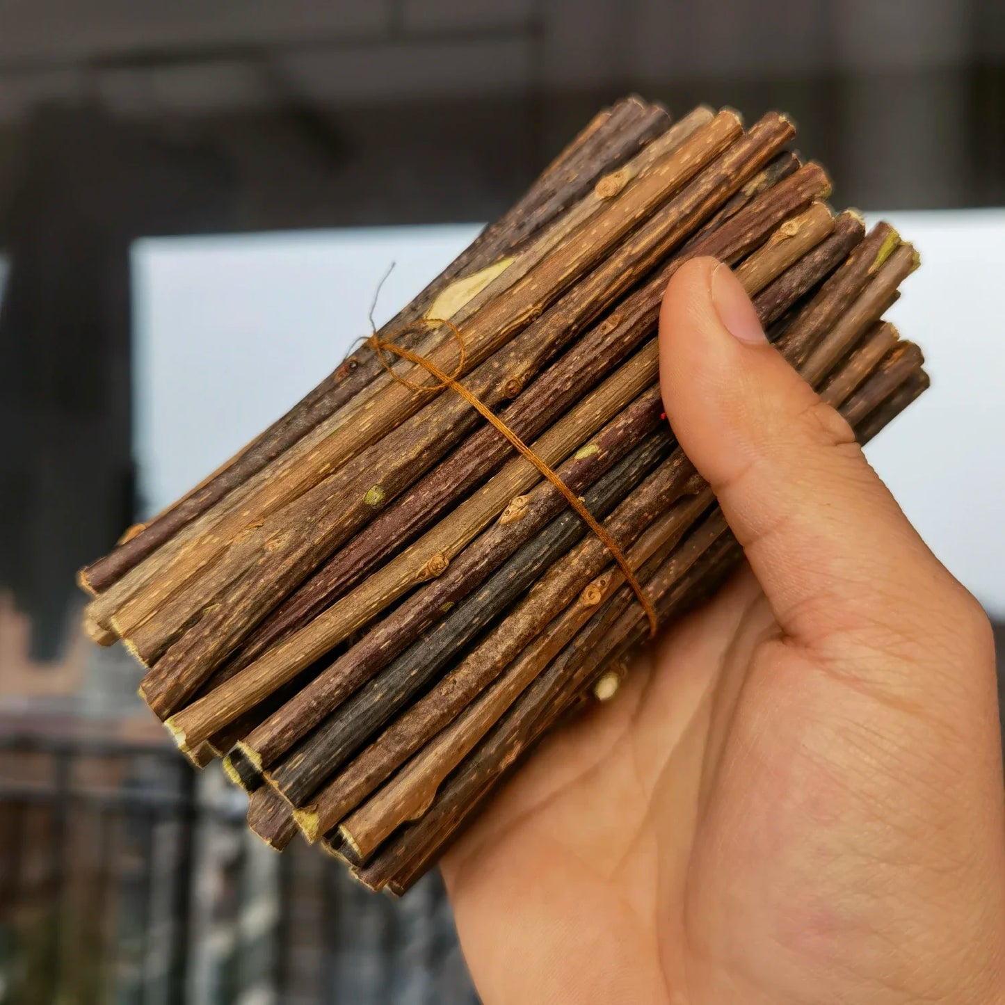 10/15/20/25/50/100Pc Natural Matatabi Pet Cat Snacks Sticks Cleaning Tooth Catnip Cat Toys Actinidia Silvervine Pet Toy for Cats